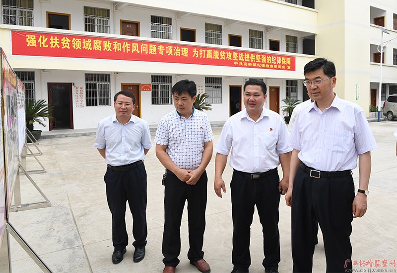 房灵敏到都安瑶族自治县调研检查工作