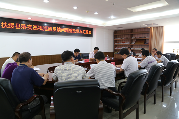 市委督察组对扶绥县落实巡视巡察反馈问题整改情况进行督促检查