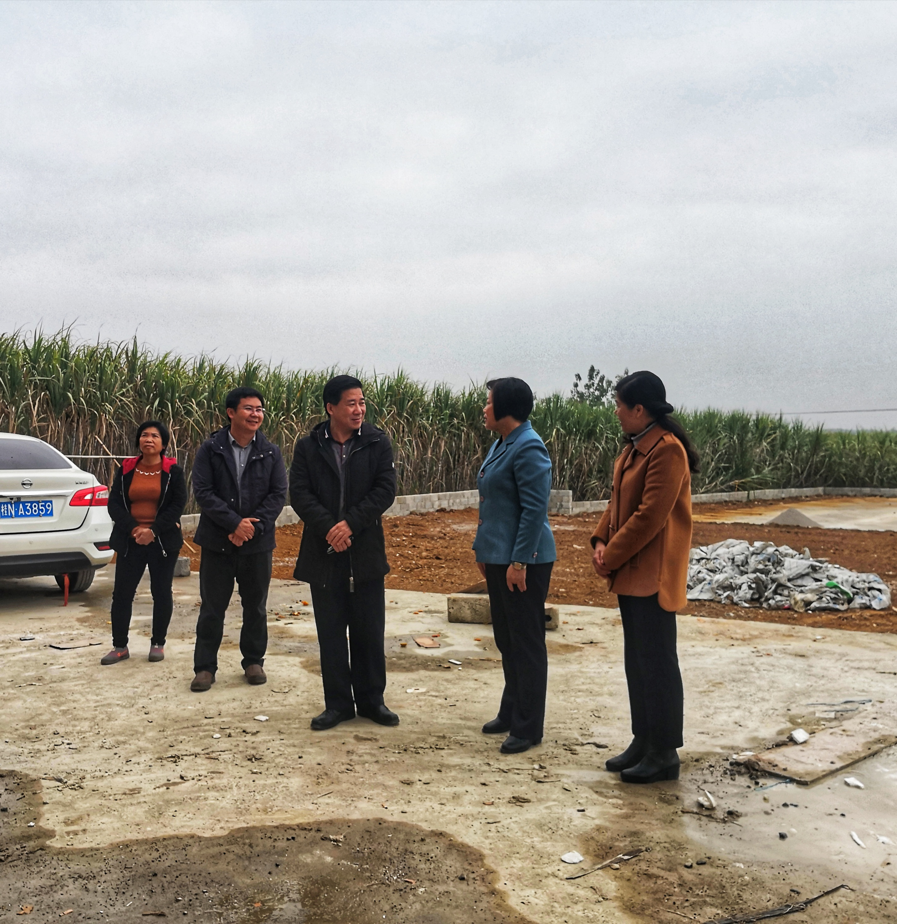 崇左市纪委监委领导到中东镇调研，邓文杰陪同