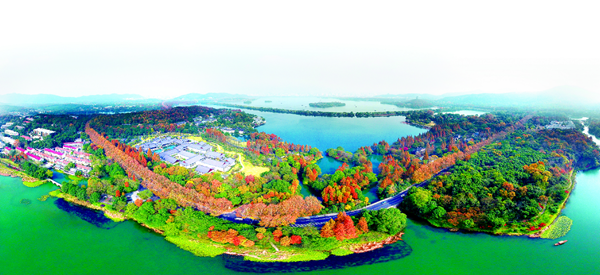 历史文化源流 | 为政以德 政者正也