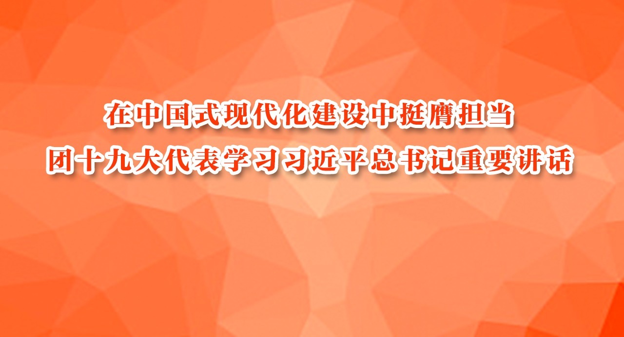 在中国式现代化建设中挺膺担当  团十九大代表学习习近平总书记重要讲话