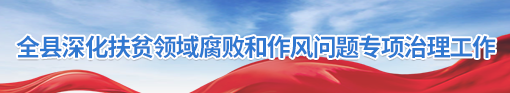 全县深化扶贫领域腐败和作风问题专项治理工作