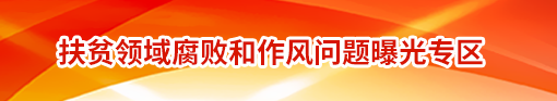 扶贫领域腐败和作风问题曝光专区