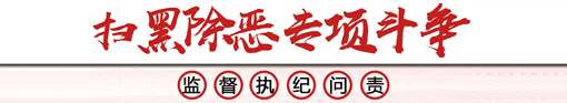 扫黑除恶专项斗争监督执纪问责