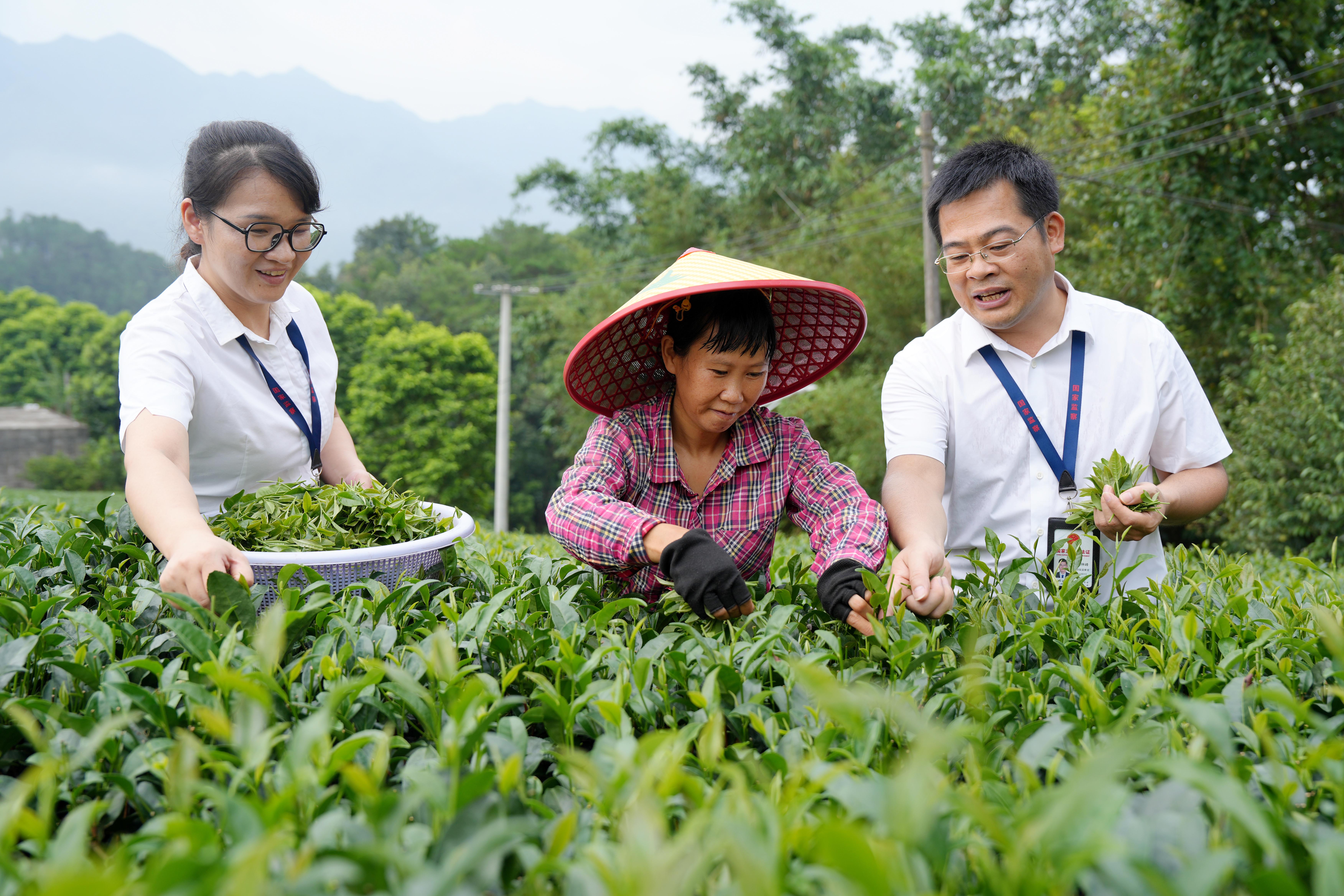 《中国纪检监察报》刊发房灵敏同志署名文章《纵深整治群众身边不正之风和腐败问题》